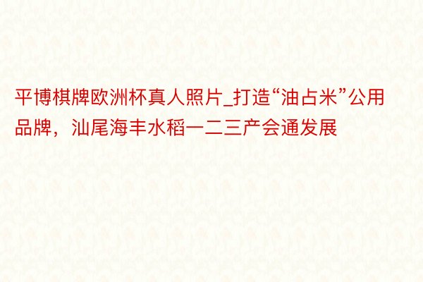 平博棋牌欧洲杯真人照片_打造“油占米”公用品牌，汕尾海丰水稻一二三产会通发展