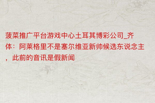 菠菜推广平台游戏中心土耳其博彩公司_齐体：阿莱格里不是塞尔维亚新帅候选东说念主，此前的音讯是假新闻